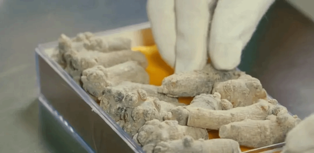 EVO厅·(中国区)视讯官网