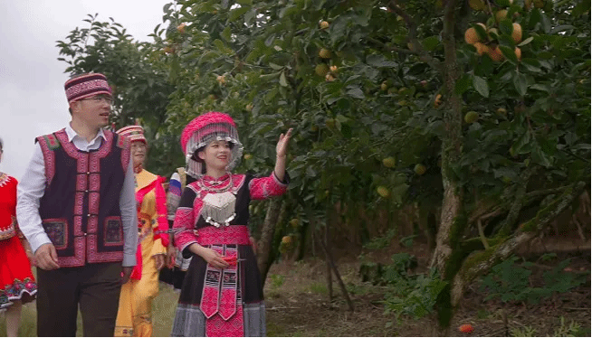 EVO厅·(中国区)视讯官网