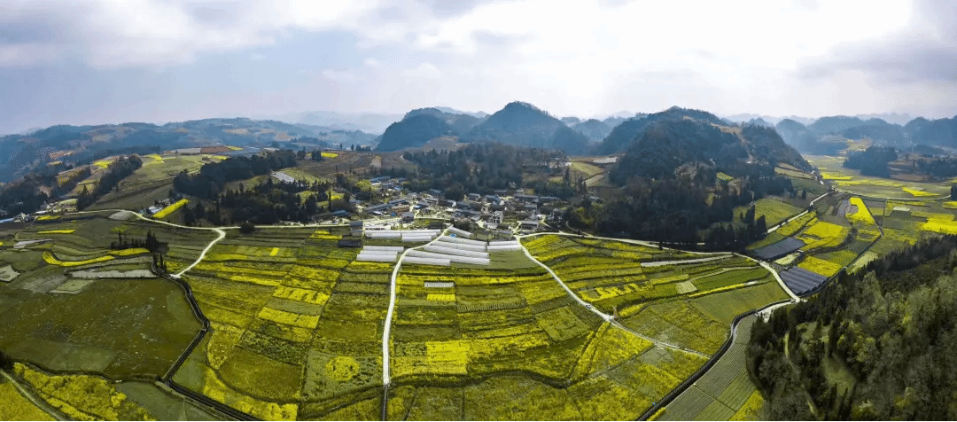 EVO厅·(中国区)视讯官网