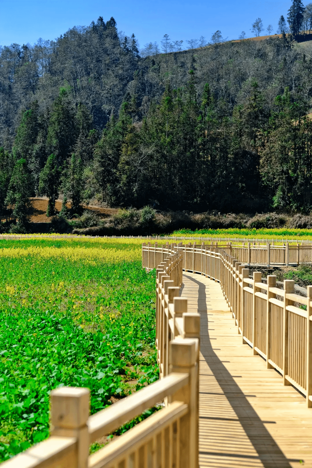 EVO厅·(中国区)视讯官网