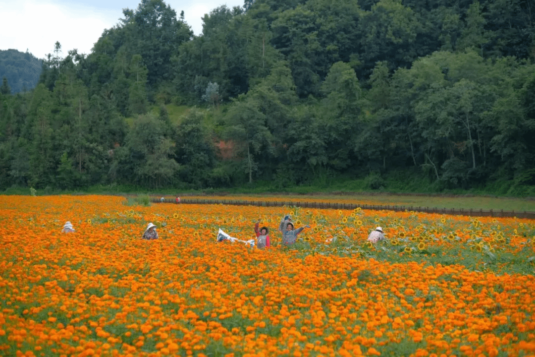 EVO厅·(中国区)视讯官网