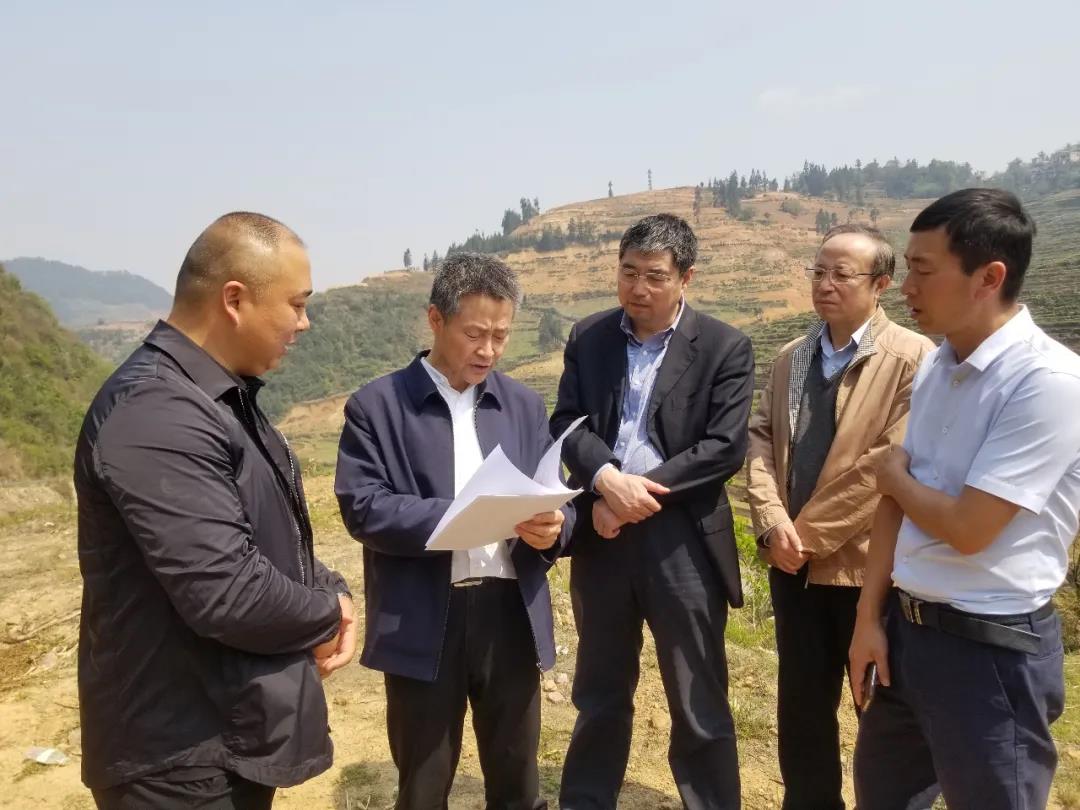 EVO厅·(中国区)视讯官网